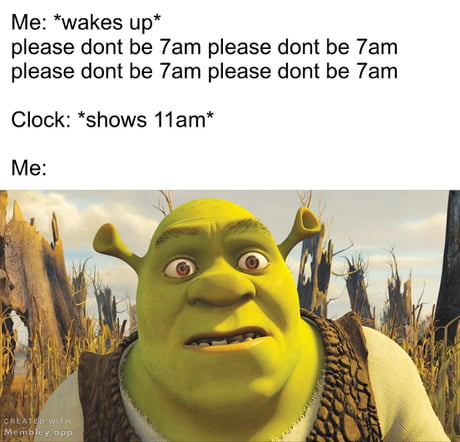 Nice Shrek meme - 9GAG