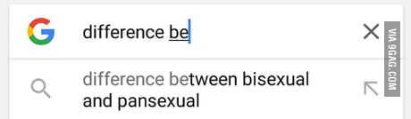 I Saw Someone Mentioning Pansexual I Looked It Up Then I Thought So How Is Bisexual Different Google Was Already Way Ahead Of Me 9gag