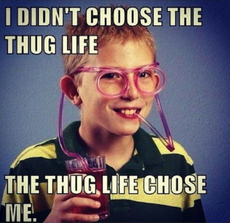 I Didn T Choose The Thug Life The Thug Life Chose Me 9gag