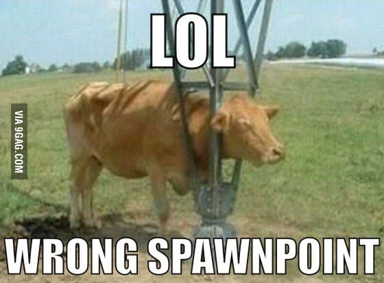 Wrong Spawn point - 9GAG