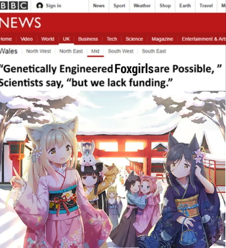 Genetically engineered catgirls for domestic ownership - 9GAG