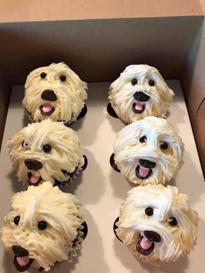 Pup Cakes