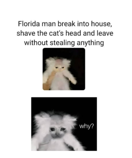 This can't be Florida man??? - 9GAG