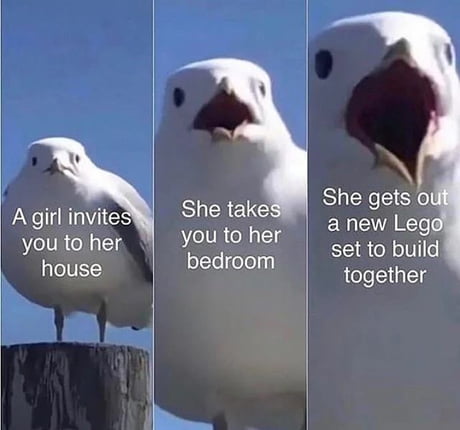 This Girl Is She In The Room With Us Right Now 9gag