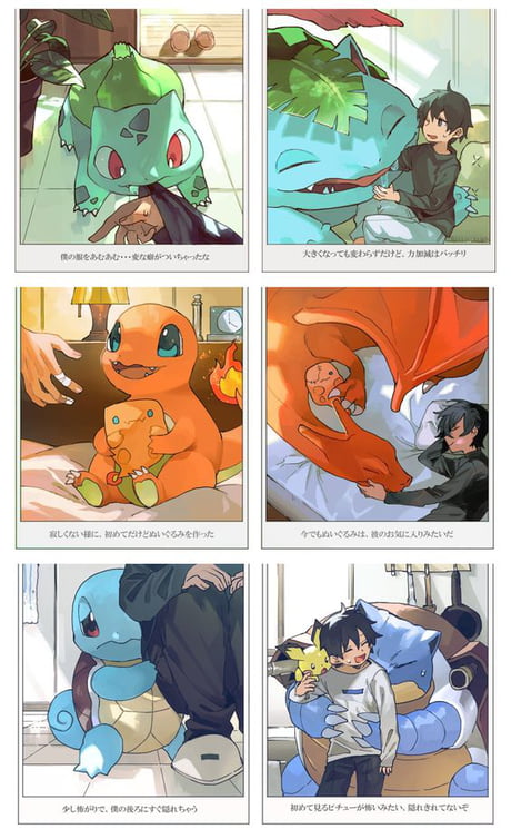 Pokemon X and Y starters evolution fan art - 9GAG