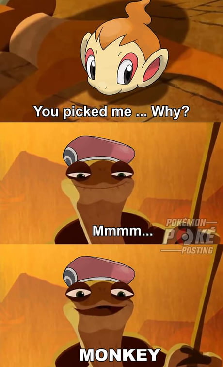 Mm Yes Monkey 9gag