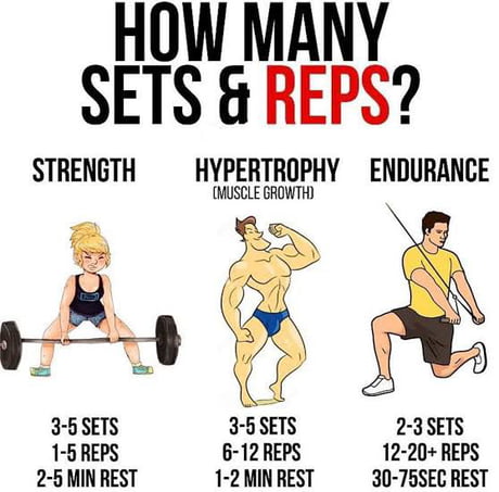 More weight vs more reps: The difference in muscle growth