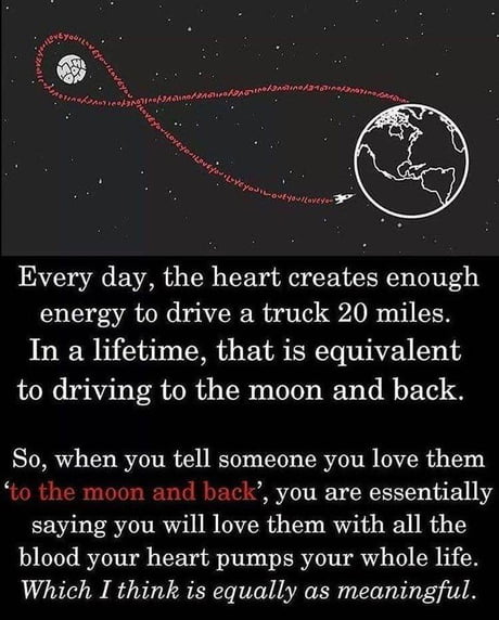 Love You To The Moon And Back 9gag