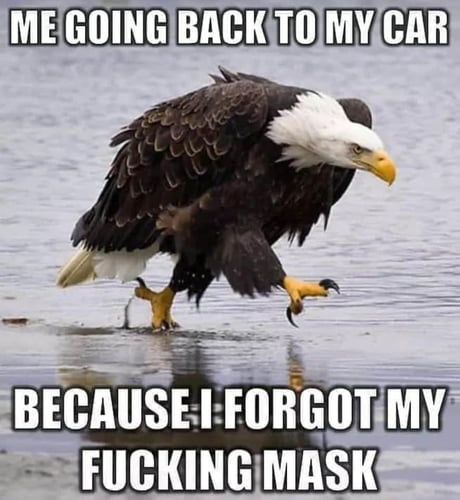 Every f@&ing time !!