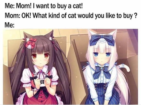 Mom Please I M Begging You 9gag Mom Please I M Begging You 9gag