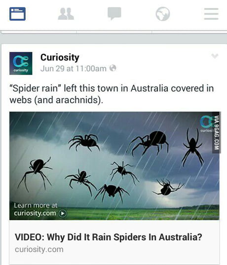 Spider season in Australia - 9GAG