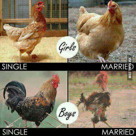 single or married life