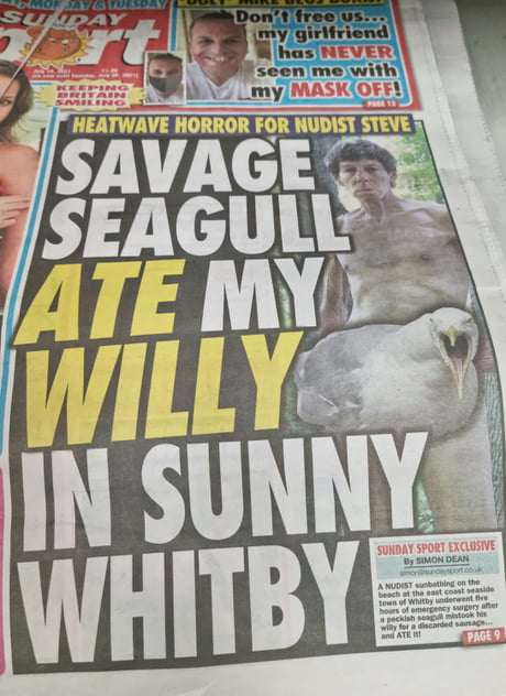 british funny newspaper headlines