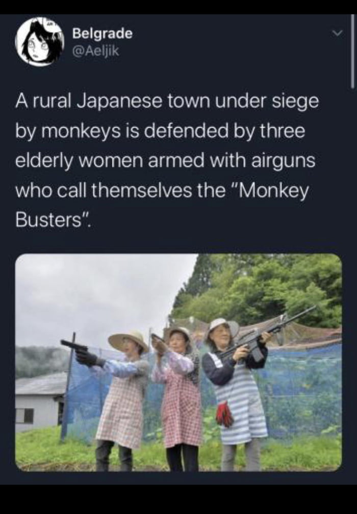 Miyuki, Kinoshita, and Ishimura, the Monkey Busters