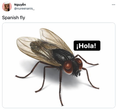 Spanish fly minister