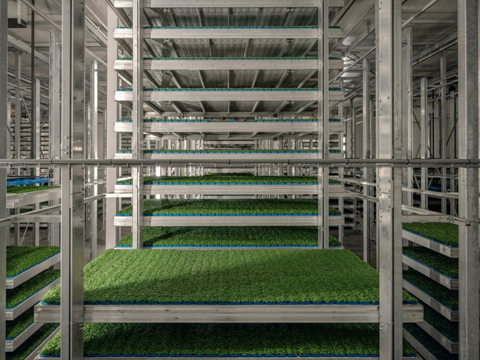 Climate-controlled farms such as these grow crops around the clock and in every kind of weather. Each acre in the greenhouse yields as much produce as 10 outdoor acres, uses 95% less of water than traditional agriculture, and cuts the need for chemicals by 97 percent.