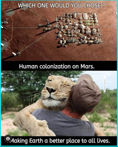 NatGeo be like: - 9GAG