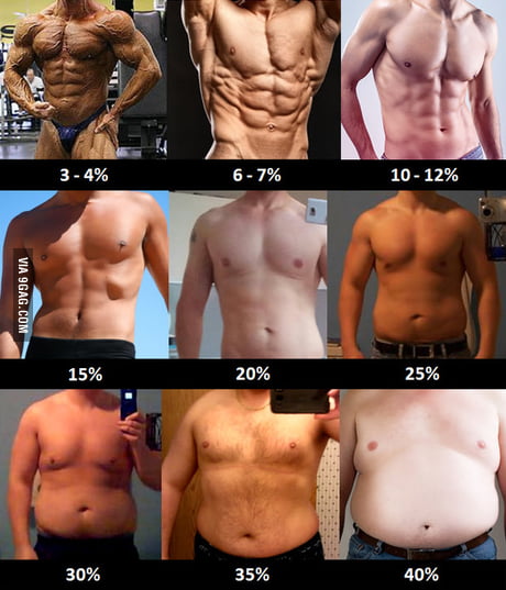 Men's body-fat-percentage, write down the most attractive for you. - 9GAG