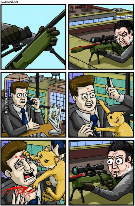 funny cat with sniper