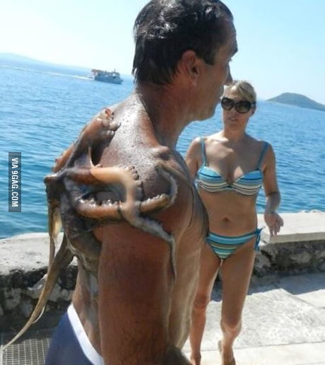 460px x 516px - Australian Nope attached to man at beach - 9GAG