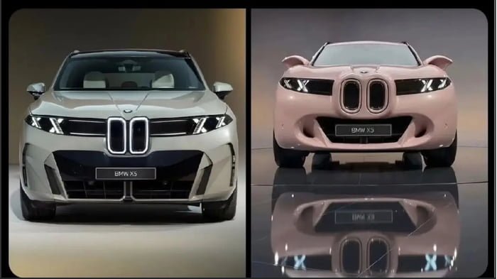 BMW Schwein