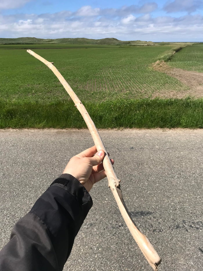 Stick thing still active? Found this beauty at the sea in western ...