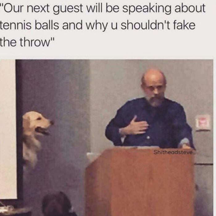 You tell m doggo
