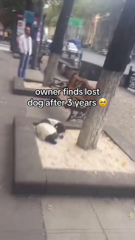 Can we once forget the rules for Jorge?