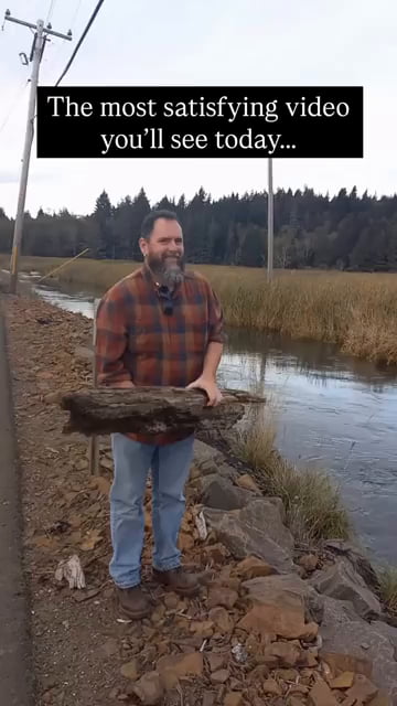 Watching this log fight the whirlpool is the most satisfying thing you'll see today