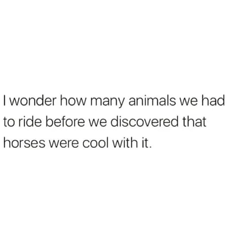 Horses...
