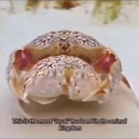 He knew exactly what he was doing