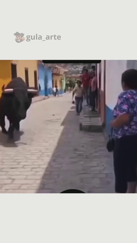 Do you feel lucky...punk?