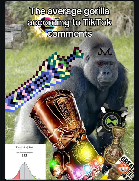 Harambe Rizz Funniest Harambe Memes The Cincinnati Zoo Deleted Its Twitter Account