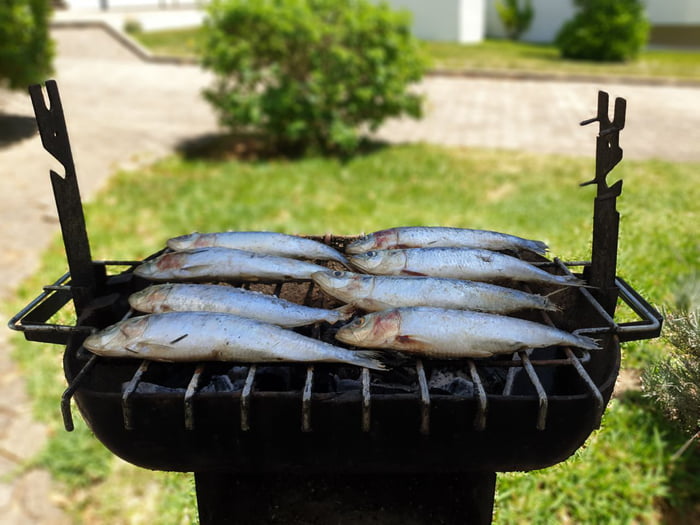 Sardines from Portugal