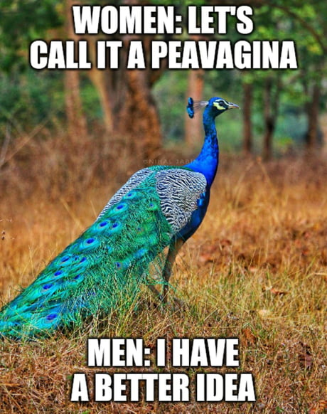 Best Funny peavagina Memes - 9GAG
