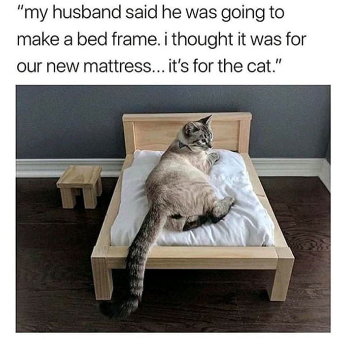 It's the most important thing that matters. Purrfection
