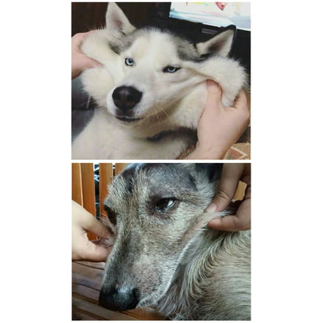We tried.