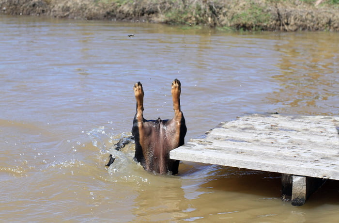 BoTToms up