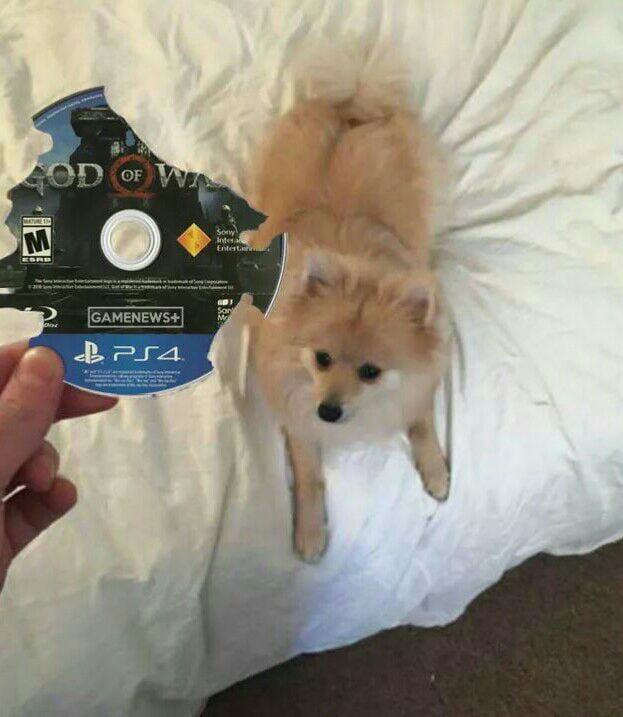 *breathes in* DOG!