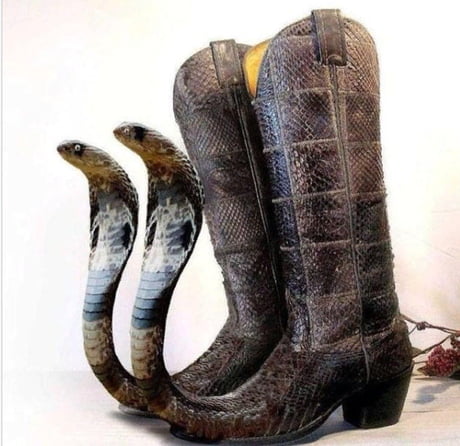 coolest cowboy boots