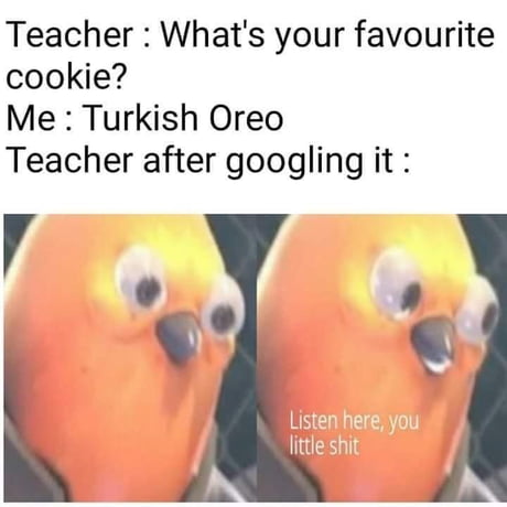 Now Listen Here You Little Bird Meme - eueminhafamiliasouza