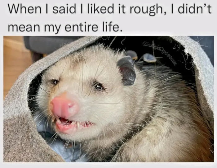 life-is-rough-everywhere-else-than-in-my-bedroom-9gag