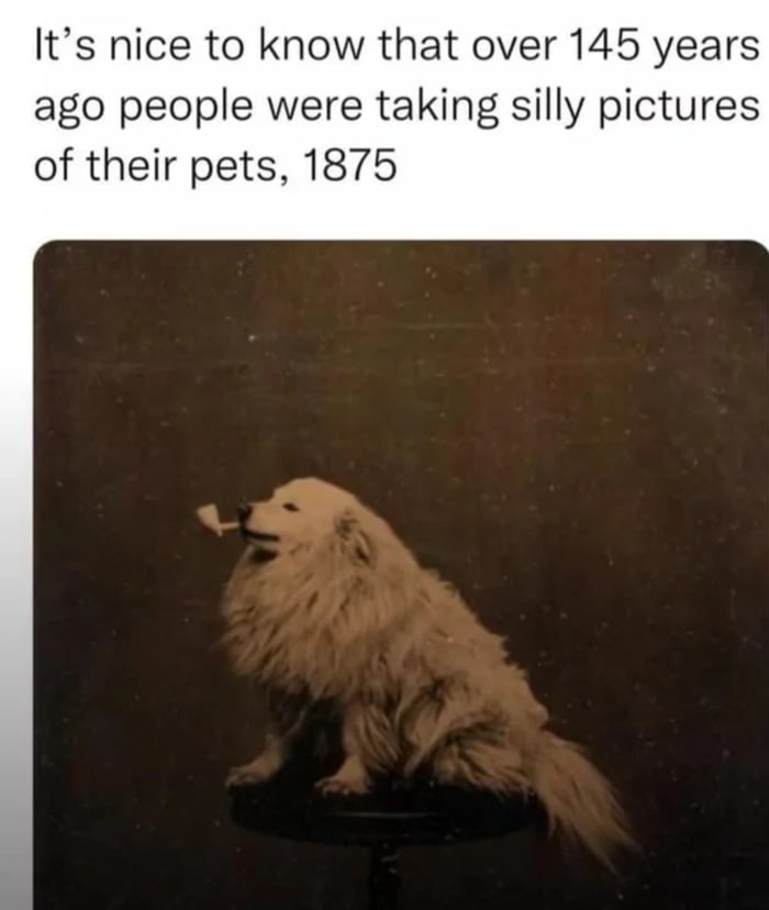 Paw traits