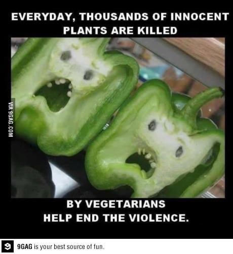 Best Funny Old 9gag Memes 9gag