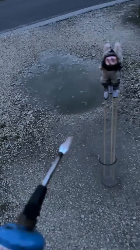 Moron homing missile