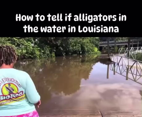 How to tell if there are alligators in the water in Louisiana