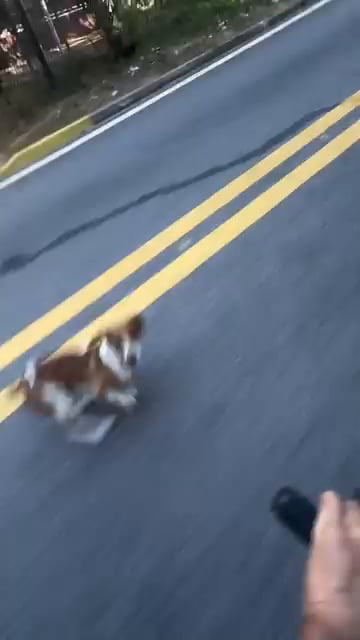 Dog: Do you know about our lord and savior jesus Christ... Err. Sir wait . Why are you running sir.