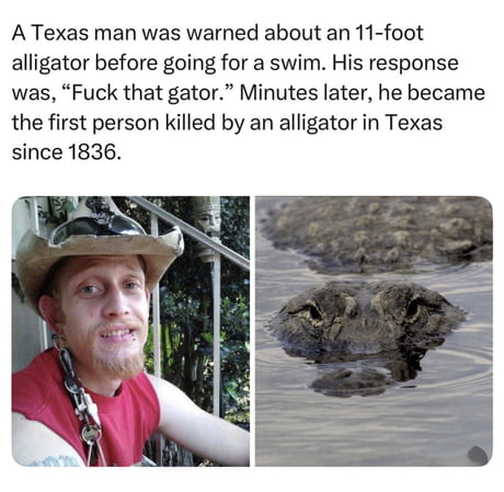 Alligator: 1 stupid dude: 0