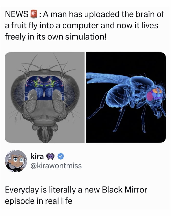 Matrix becomes reality