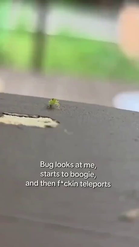 Now you see me, now you don't